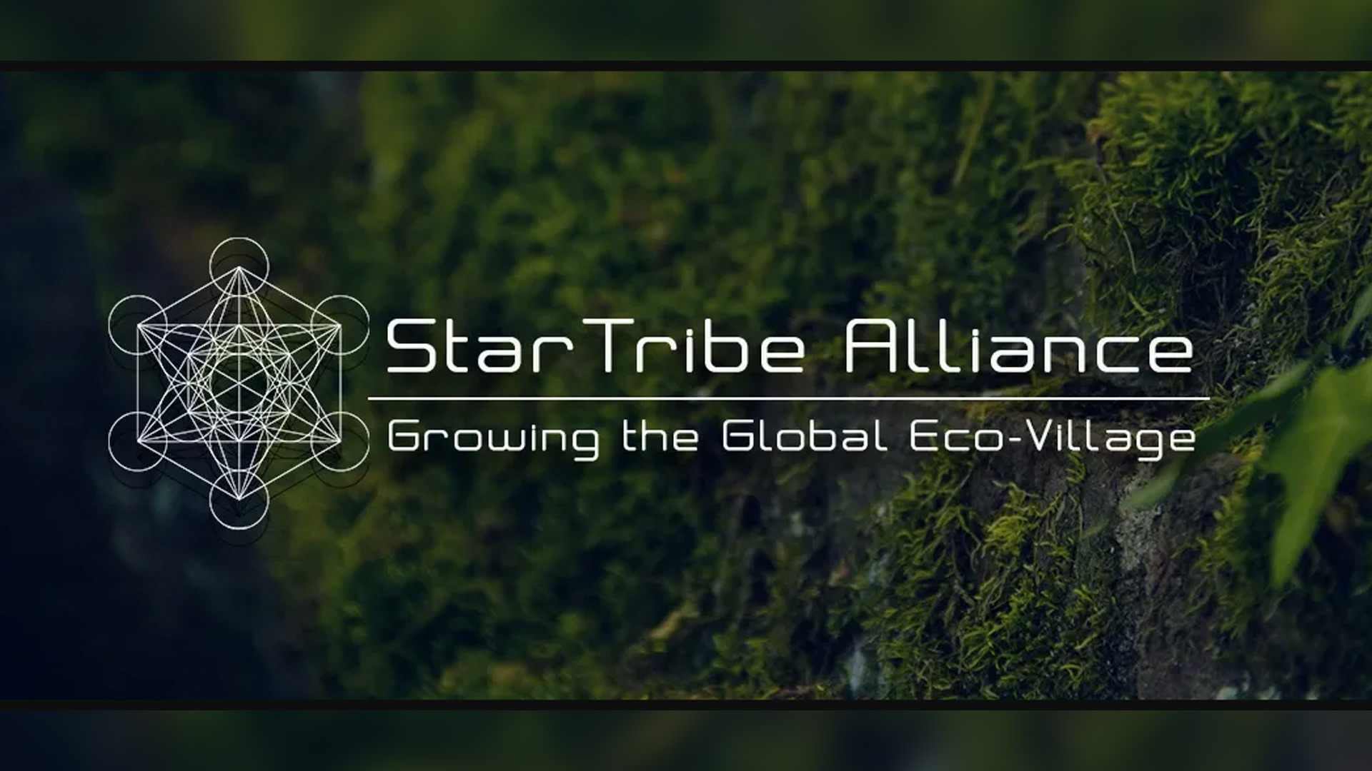 celestial_partners_star-tribe-alliance.jpg