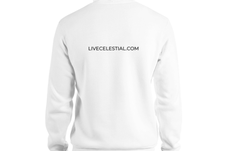unisex-pullover-hoodie-white-back-60a973ce362f4.png