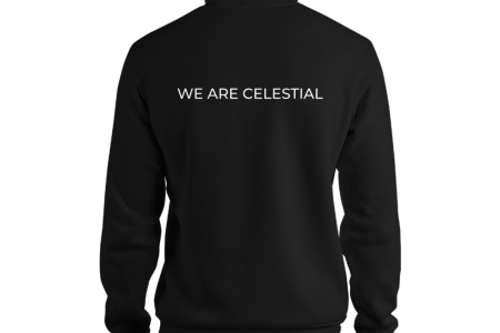 unisex-pullover-hoodie-black-back-60a9735d568bb.png