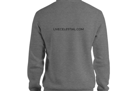 unisex-pullover-hoodie-deep-heather-back-60a973ce35d30.png