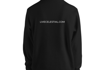 unisex-pullover-hoodie-black-back-60a9744e68dd1.png