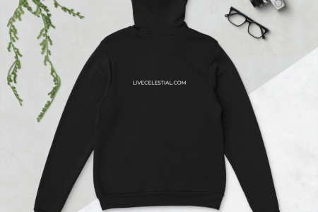 unisex-pullover-hoodie-black-back-60a9744e68ebc.png