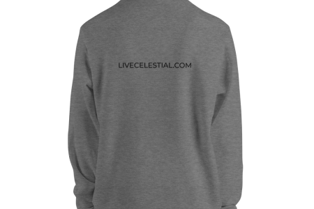 unisex-pullover-hoodie-deep-heather-back-60a973ce35dc5.png