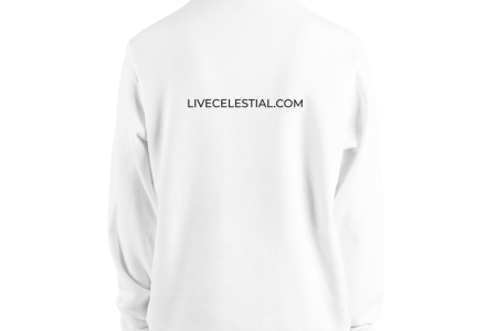 unisex-pullover-hoodie-white-back-60a973ce36409.png