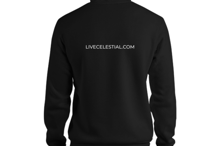 unisex-pullover-hoodie-black-back-60a9744e68cd6.png