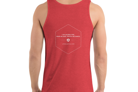 unisex-premium-tank-top-red-triblend-back-60a975aebfdc2.png