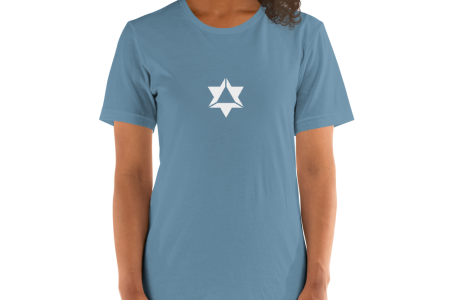 unisex-premium-t-shirt-steel-blue-front-60a9754ae1ad5.png