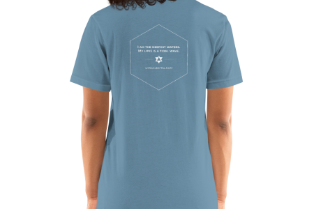 unisex-premium-t-shirt-steel-blue-back-60a9754ae2312.png