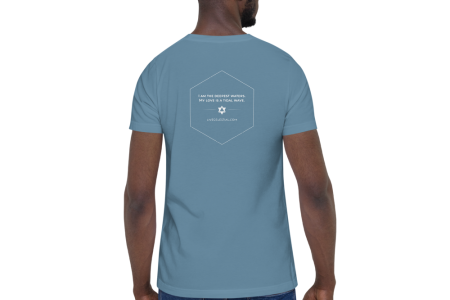unisex-premium-t-shirt-steel-blue-back-60a9754ae24aa.png