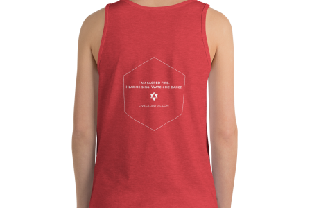 unisex-premium-tank-top-red-triblend-back-60a975aebff37.png